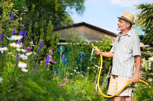 An old man in a straw hat smiles as he waters a lush garden with a hosepipe