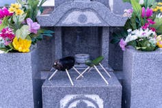 Vegetables on wooden sticks on grey stone plinths.