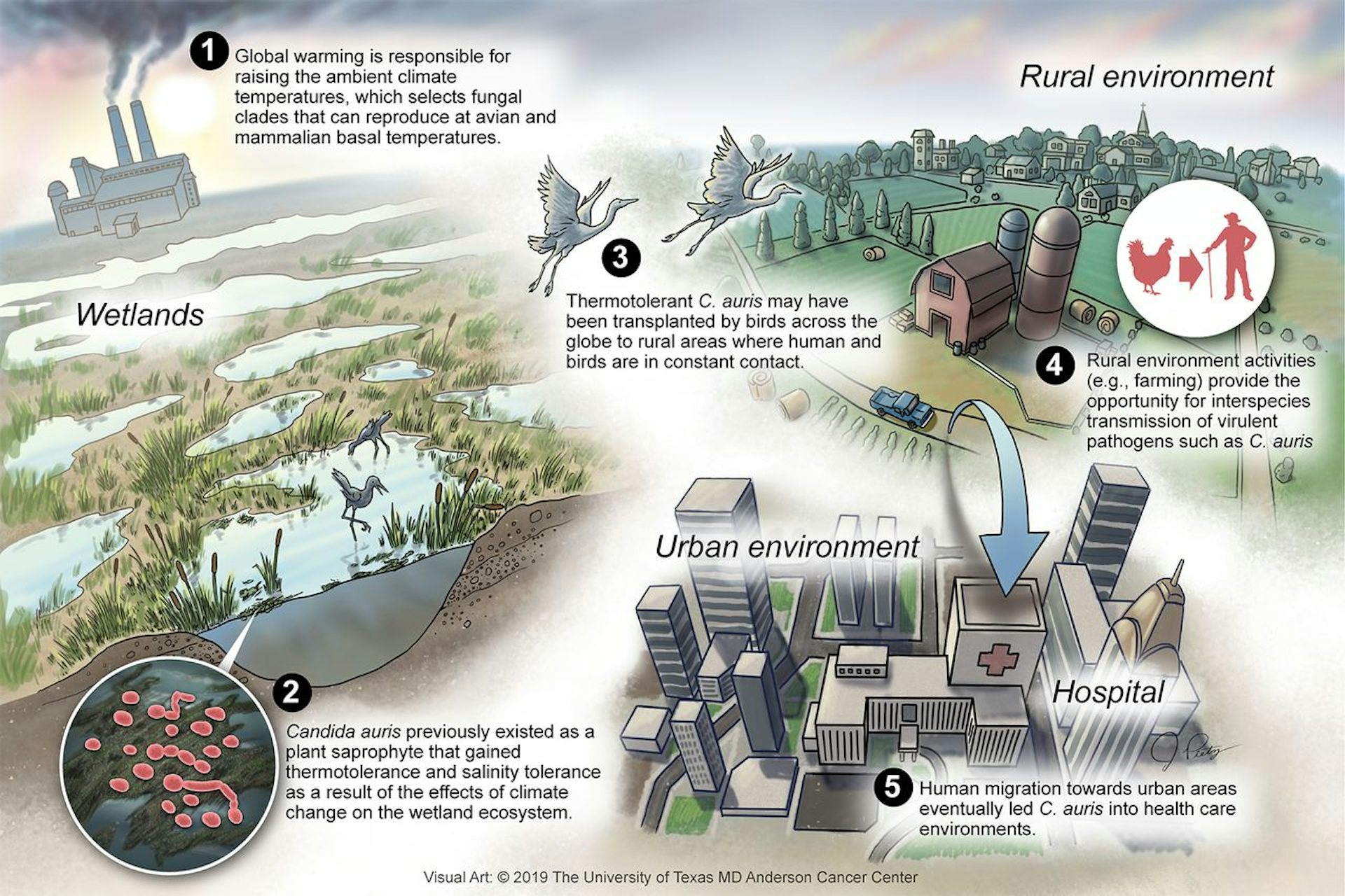 58 Of Human Infectious Diseases Can Be Worsened By Climate Change We   File 20220805 1342 Otw5n8 