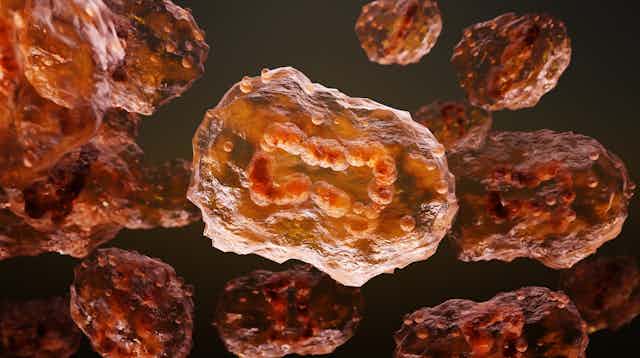 3D illustration of monkeypox virus cells in shades of deep orange and brown floating against a black background.