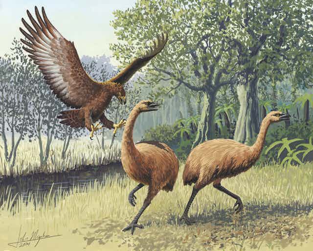 Ilustración de un águila atacando a unas aves terrestres.