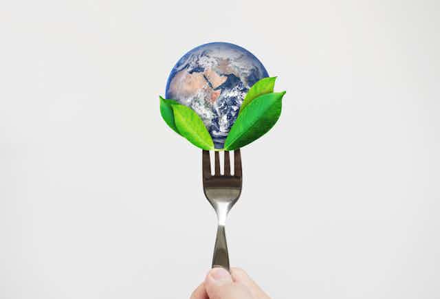 How does going vegan help save the planet? Here are the facts