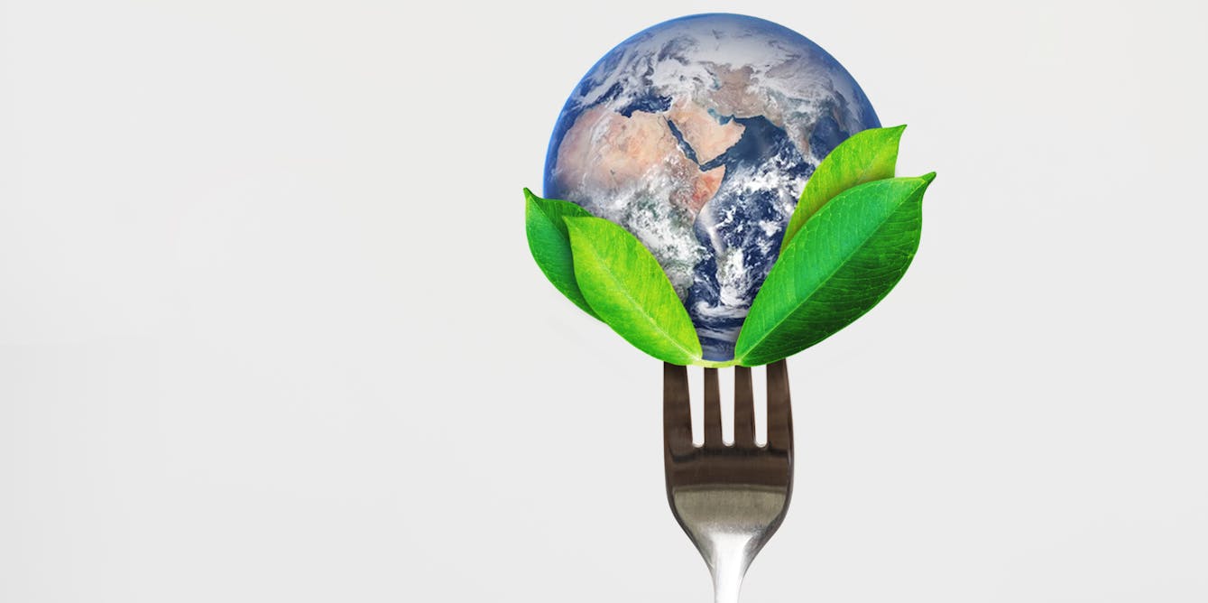 Go vegan for the planet and future generations - Blog