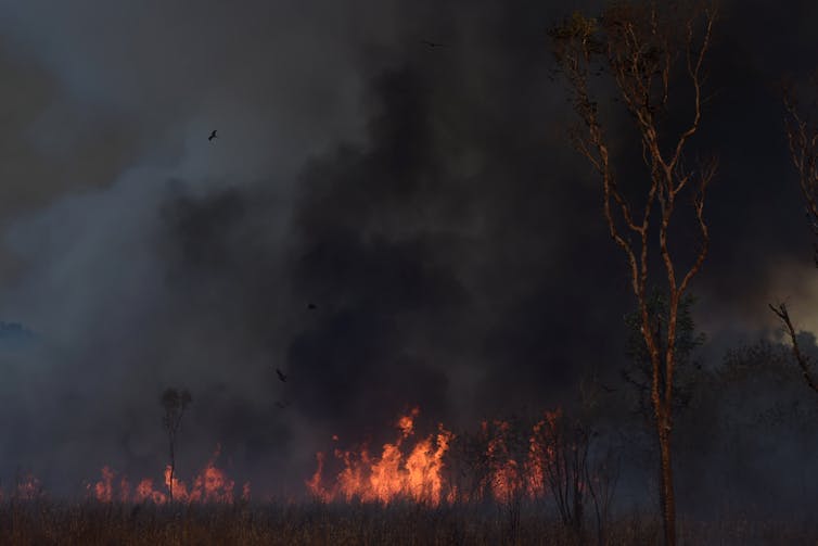 sky filled with black smoke above grass and flames