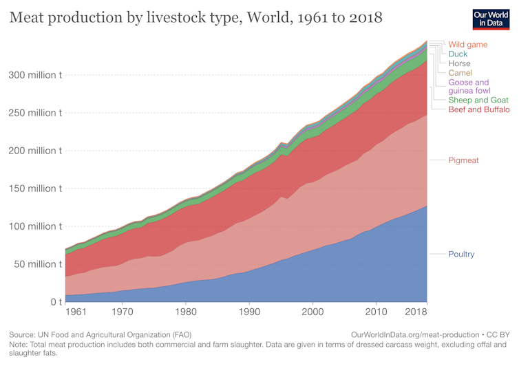 Chart of meat production