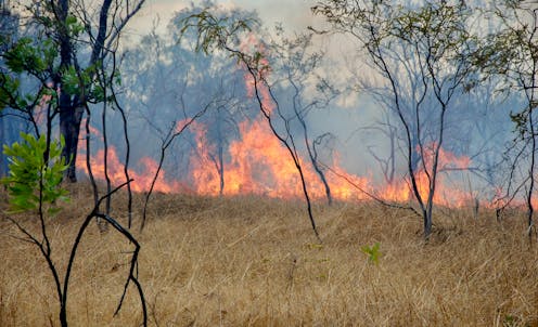 savanna burning under Australia's carbon credit scheme is harming human health