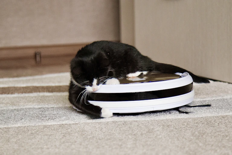 A tuxedo cat playing with a black and white robot vacuum