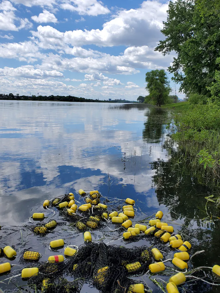filet dans un lac