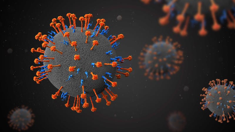 Alerta en China por un nuevo virus que infecta a humanos: ¿debemos preocuparnos?
