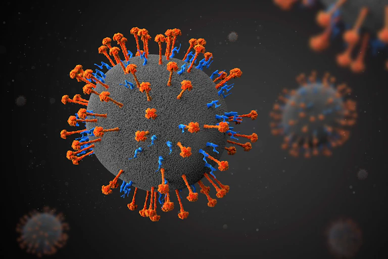 Ilustración de un virus en gris con espículas naranjas y azules.
