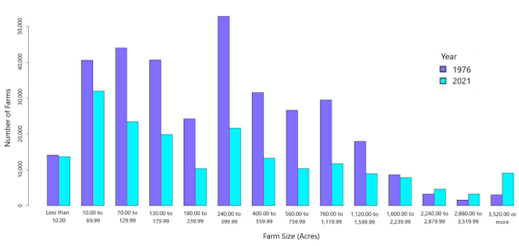 A graph comparing the distribution of farm sizes in 1976 versus 2021