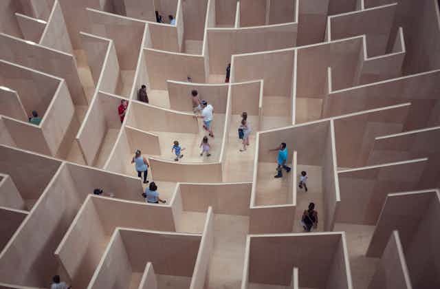 A shot from above of several people making their way through a life-size maze