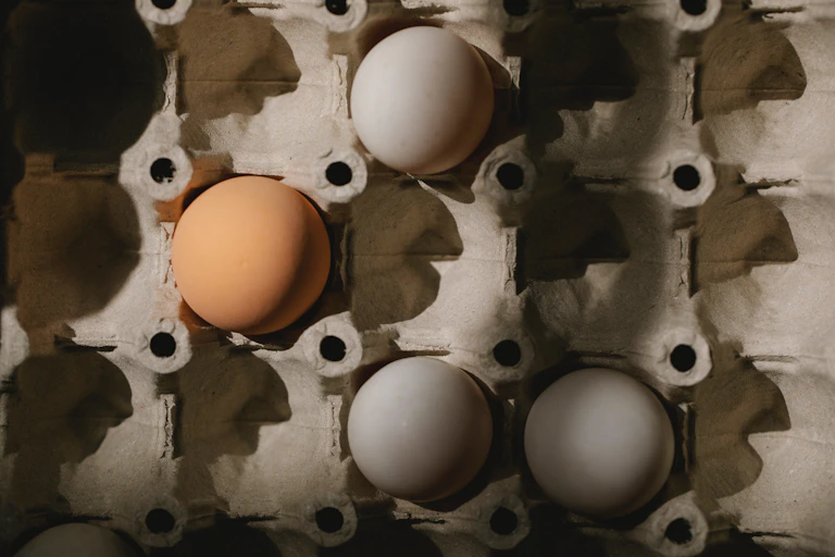 eggs in carton
