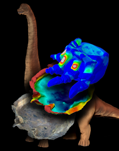 Illustration of a sauropod overlaid with several models of sauropod foot bones