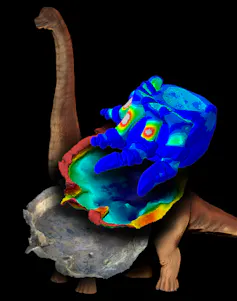 Illustration of a sauropod overlaid with several models of sauropod foot bones