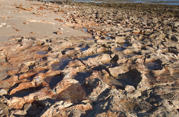A rocky landscape of orange soil with a curved trail of large dents