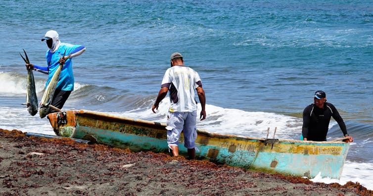 Tres pescadores regresan de un viaje en barco a Sainte-Marie en Martinica
