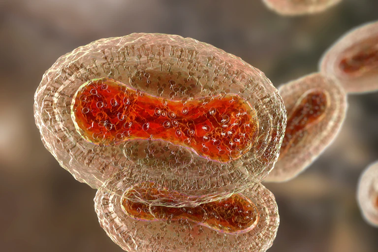 A digital image of a monkeypox virus.
