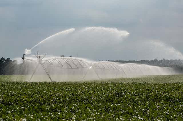 A center pivot irrigation system sprays water over a field