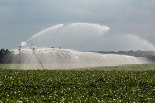 Farmers can save water with wireless technologies, but there are challenges – like transmitting data through mud