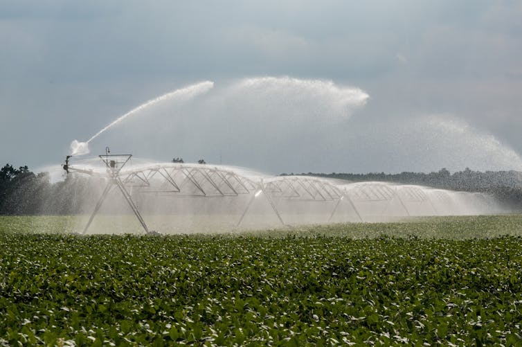 Wireless sensors and data systems can help farmers use water much more efficiently by monitoring soil conditions. Lance Cheung/USDA via Smith Collection/Gado/Getty Images