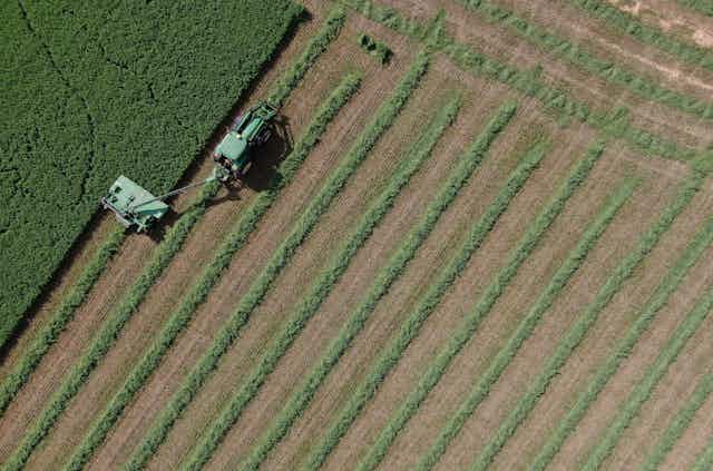 An overhead view of a tractor working on a farm field
