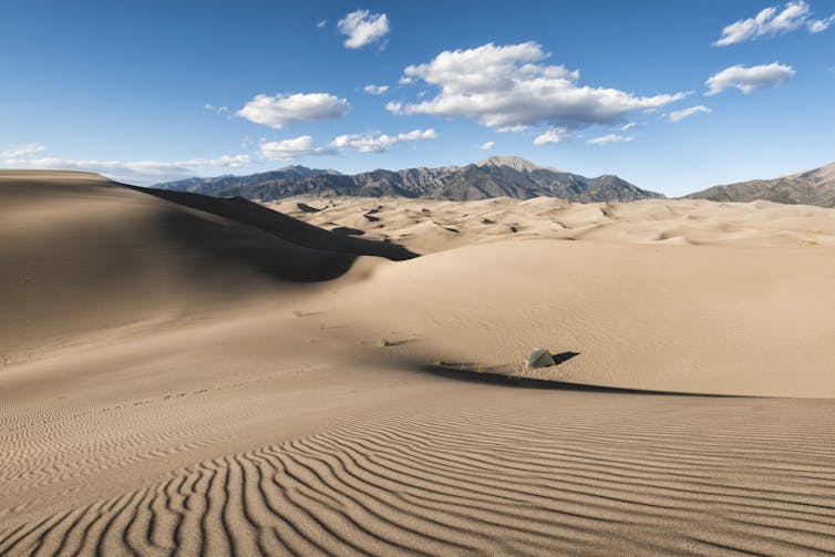 ทรายสีน้ำตาลอ่อนที่มีคลื่นลมพัดในทิวทัศน์แบบพาโนรามาของทะเลทราย Great Sand Dunes National Park รัฐโคโลราโด สหรัฐอเมริกา