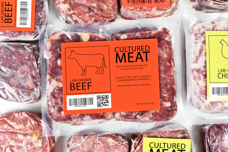 Fake Meat Lab Is fake meat healthy? And what’s actually in it?