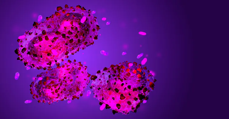 3D visualisation of a monkeypox cell