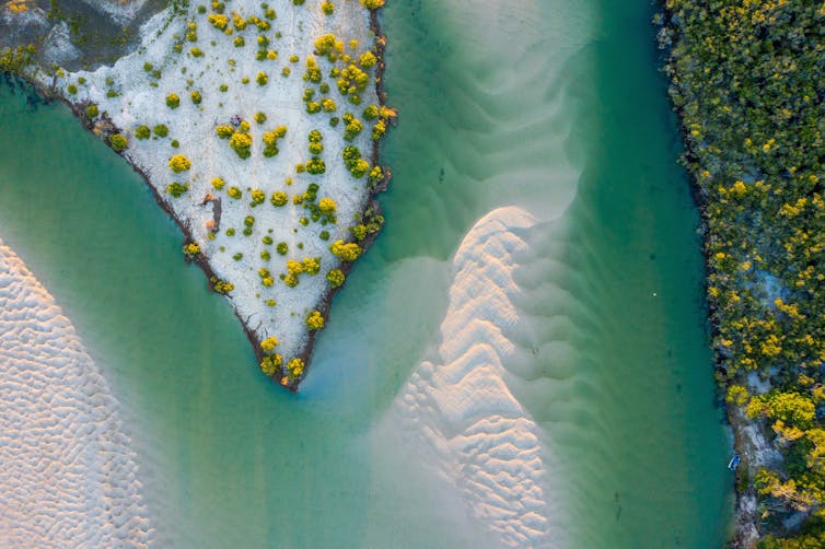 noosa river mouth