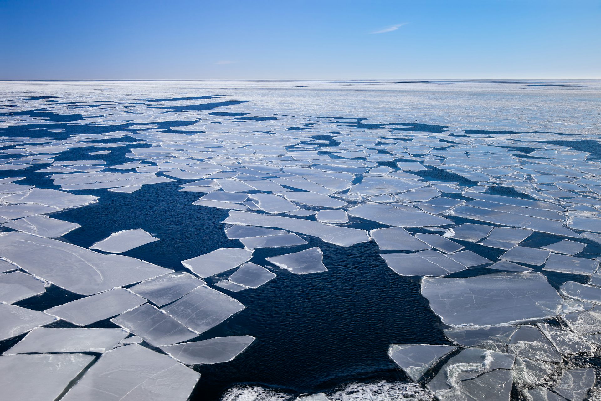 Arctic Is Warming Nearly Four Times Faster Than The Rest Of The World ...