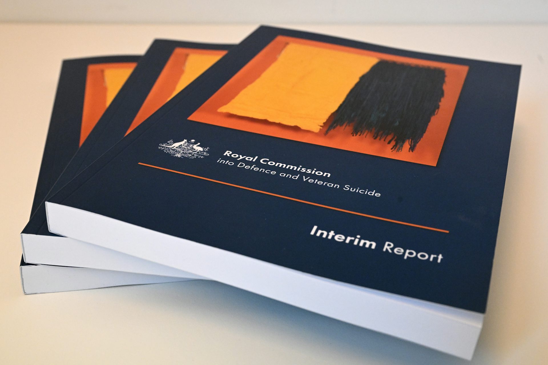 Royal Commission Delivers Damning Interim Report On Defence And Veteran ...