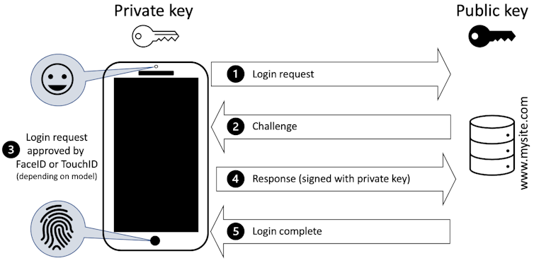 Diagram of the four steps involved in passwordless web authentication, which occurs between a user's device and the online site or service being accessed.