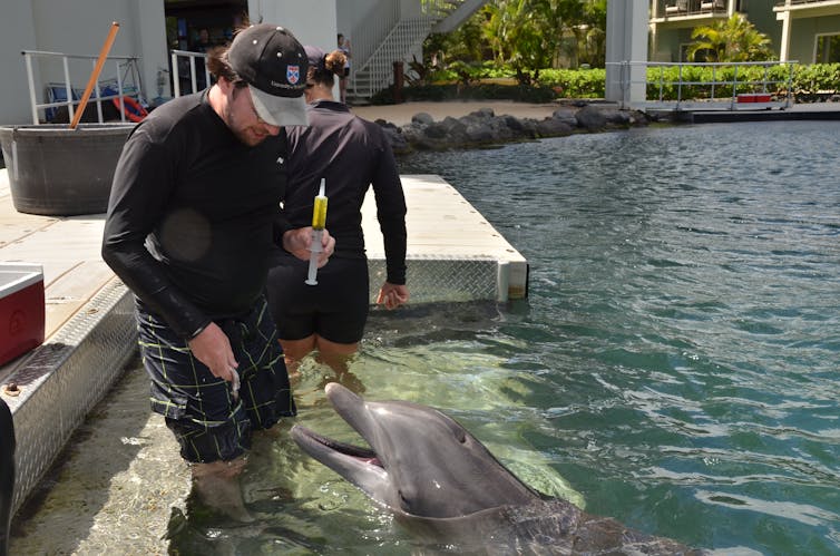 A person holding a vial of urine standing next to a dolphin.