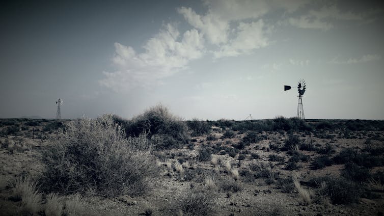 Karoo landscape with windpumps