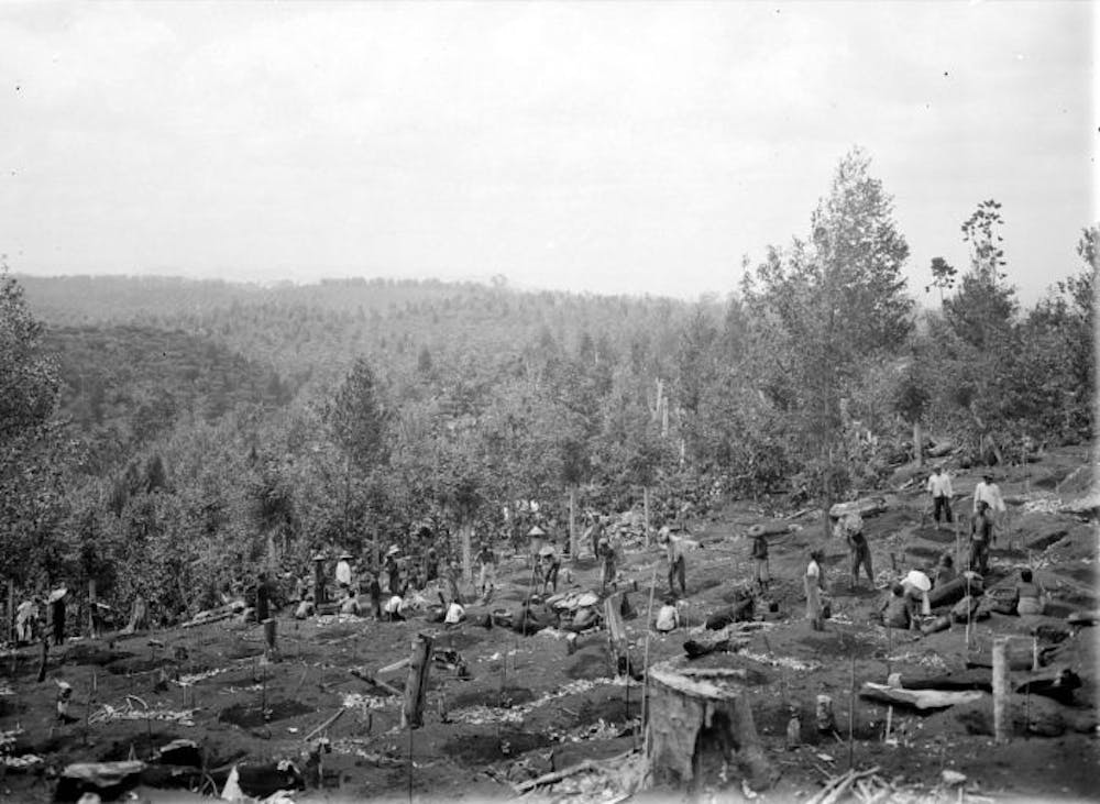 Riset: bagaimana wajah ketimpangan Indonesia pada zaman kolonial Belanda?