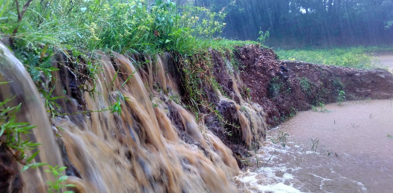 Drought: five ways to stop heavy rains washing away parched soil - The Conversation Indonesia
