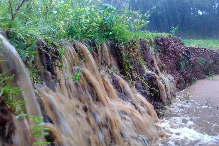 Torrents of brown water pour from a mud bank topped with vegetation.