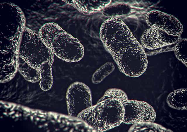 Black and white illustration of bacteria close up
