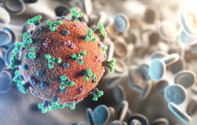 An illustration of SARS-CoV-2, the coronavirus that causes COVID-19.