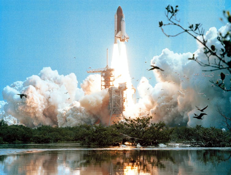 Space shuttle launching with trees and birds in foreground.