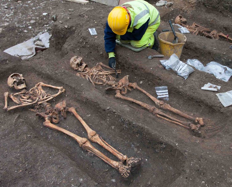 An archaeologist excavating the skeletons