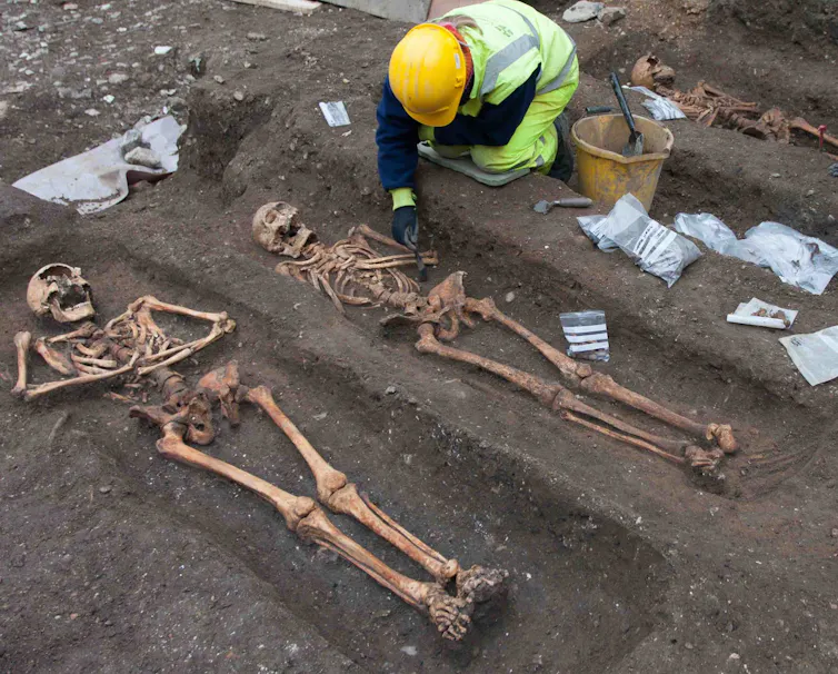 An archaeologist excavating the skeletons