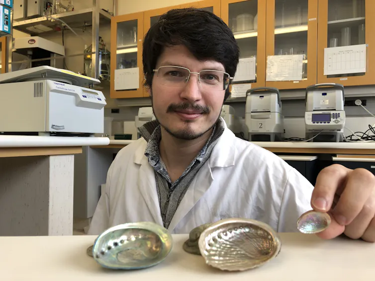 The author in the lab with some pāua shells.