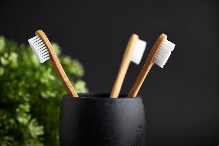 Toothbrushes in a holder