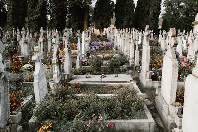 A cemetery covered in flowers