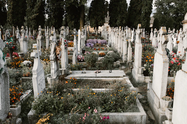 A cemetery covered in flowers