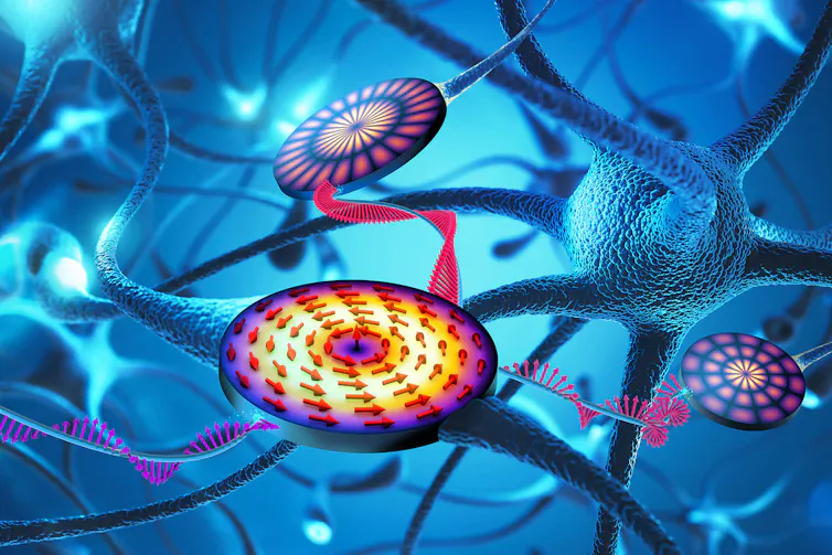 Schéma de vortex dans des neurones