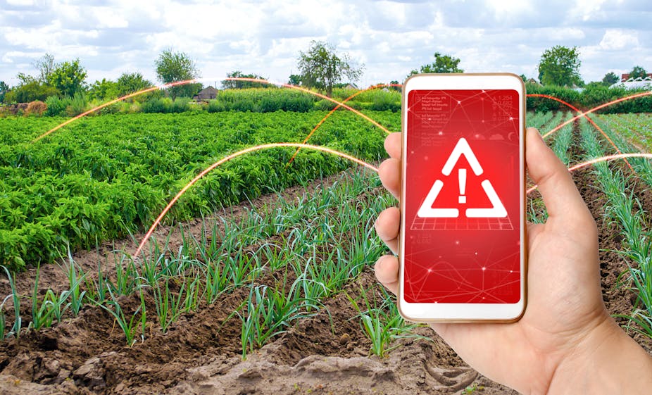 A hand holds a cellphone whose screen contains a white triangle and exclamation mark against a red backdrop. There are crops and trees in the background of the image