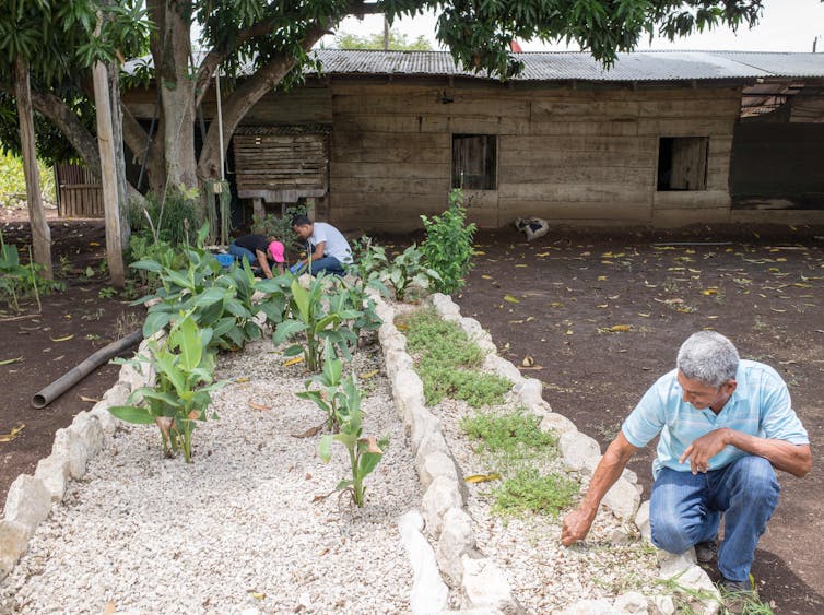 Biojardineras